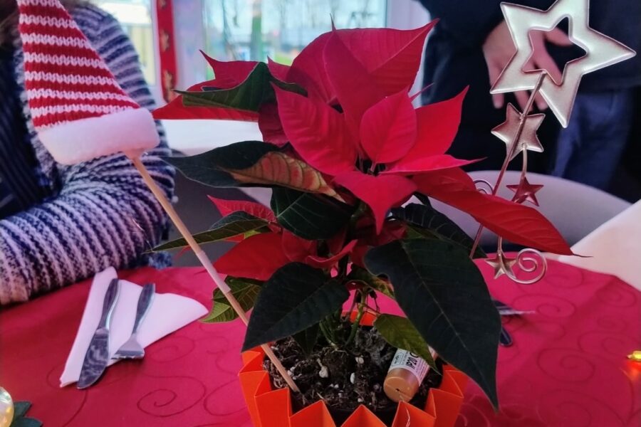 WhatsApp Bild 2025-12-06 um 20.51.49_a4bfbe9e